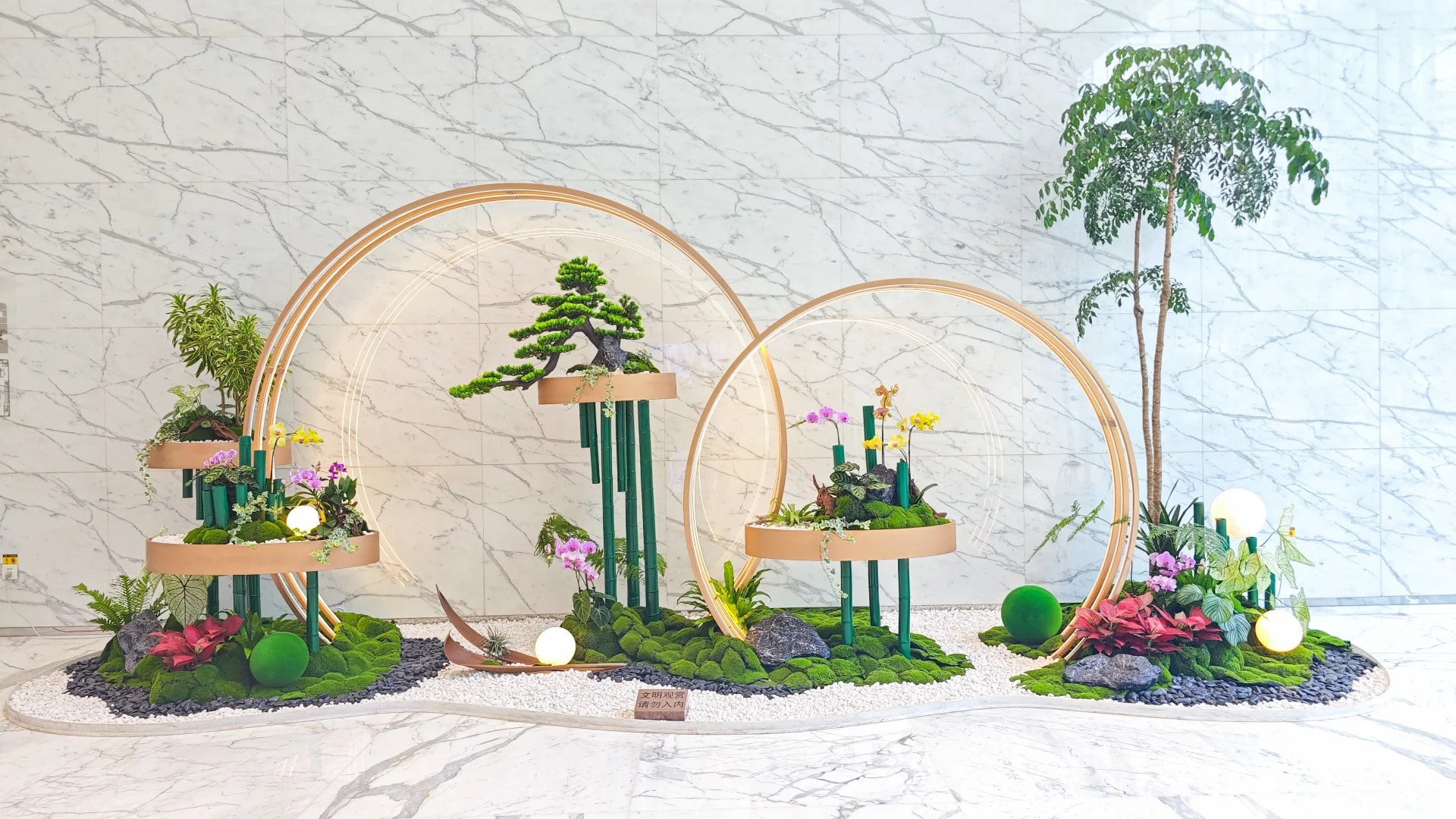 专业花木出租,宁波北仑的绿色新选择